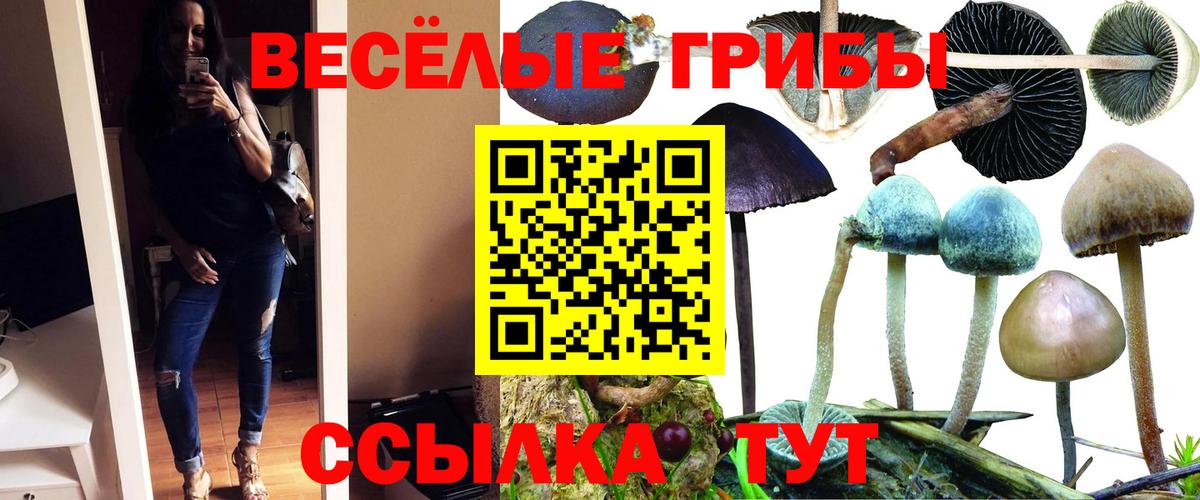 где продают наркотики  Галлюциногенные грибы прущие грибы  Вход с VPN  Похвистнево 